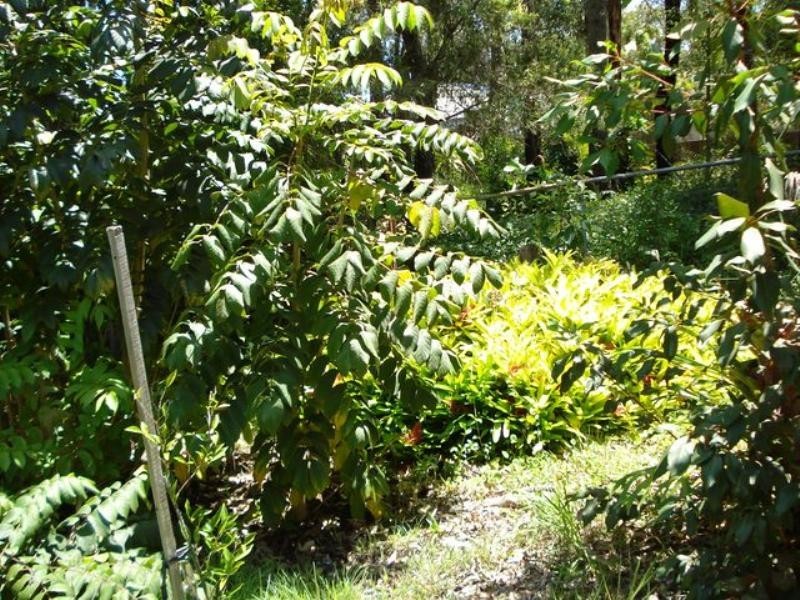 9-13 Paula Parade, Lamb Island QLD 4184