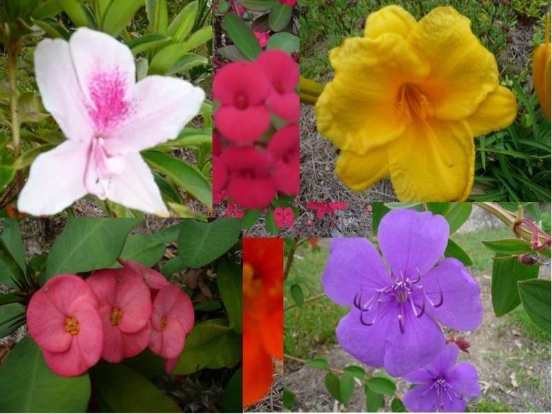 8 Glen Street, Macleay Island QLD 4184