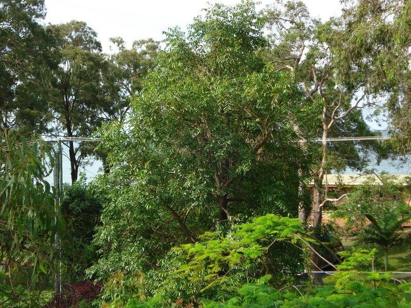 60 Perulpa Drive, Lamb Island QLD 4184