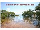 8 Calm Waters Crescent, Perulpa Island QLD 4184