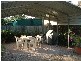 9 Lovell Parade, Lamb Island QLD 4184