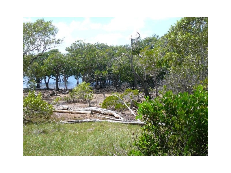 5 Blue Vista Street, Perulpa Island QLD 4184