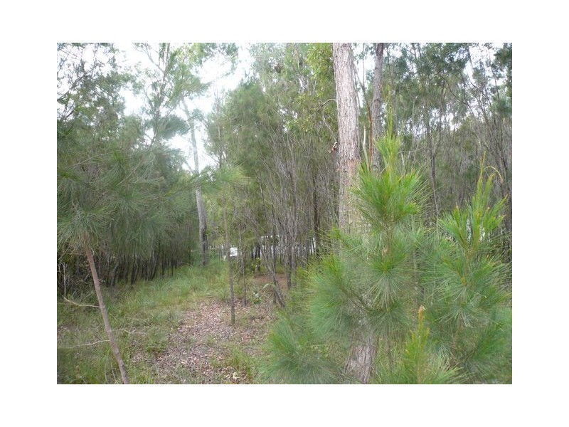 17 Jane Street, Macleay Island QLD 4184