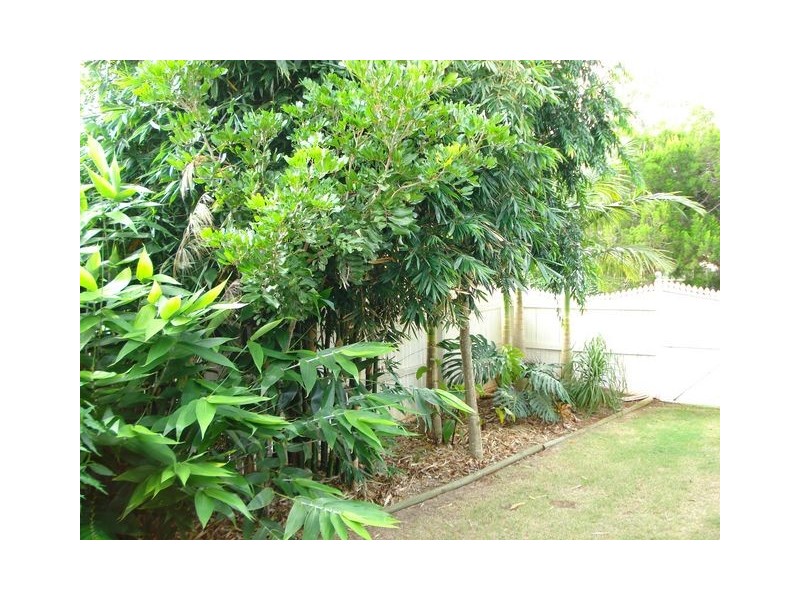 60 Treasure Island Avenue, Karragarra Island QLD 4184