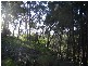 15 Beelong Street, Macleay Island QLD 4184