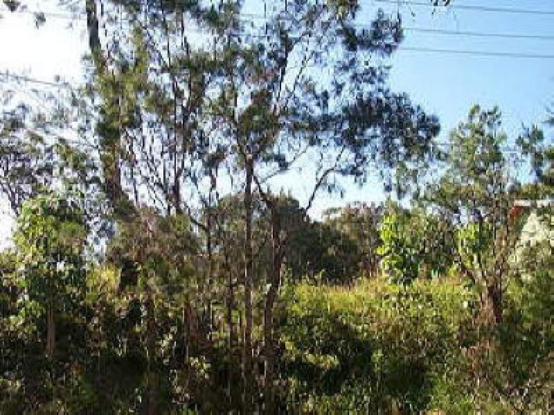 49 Orion Street, Macleay Island QLD 4184
