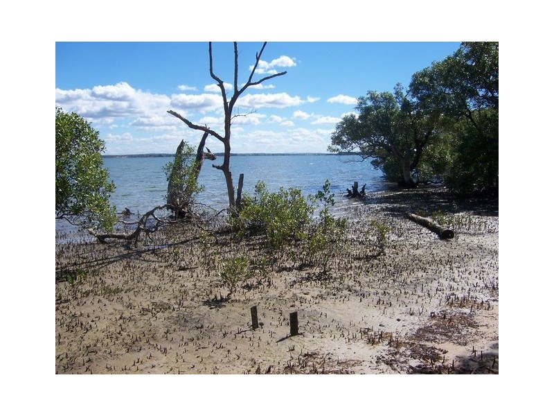 45 Attunga Street, Macleay Island QLD 4184