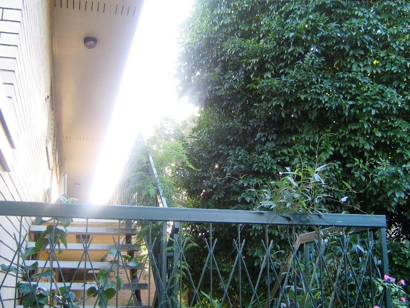 Moorooka QLD 4105