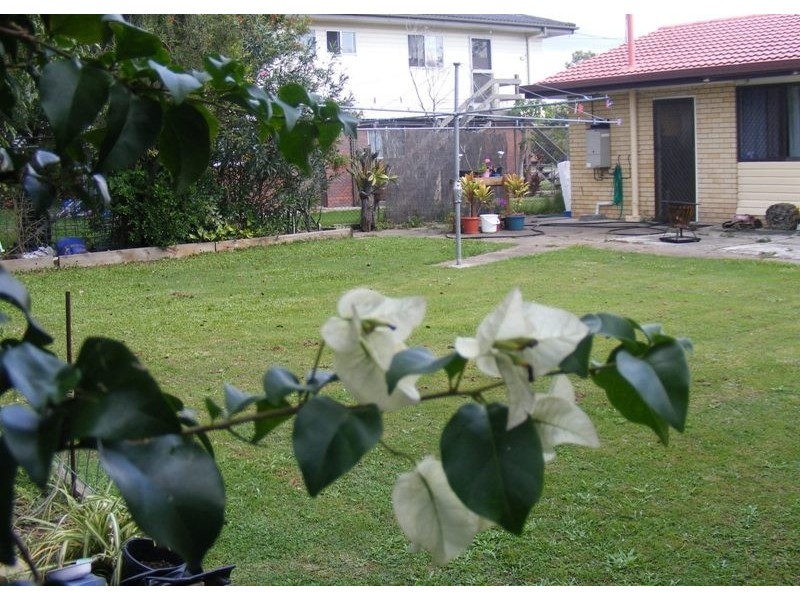 9 Phaius Street, Acacia Ridge QLD 4110