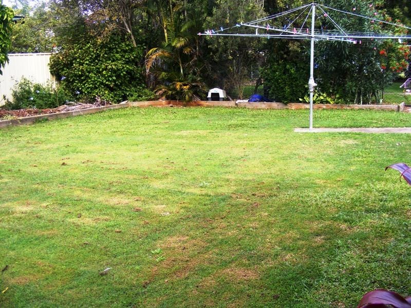 9 Phaius Street, Acacia Ridge QLD 4110