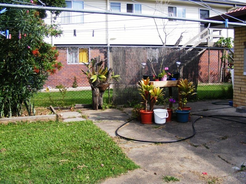 9 Phaius Street, Acacia Ridge QLD 4110