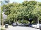 1/2 Blackburn Street, Moorooka QLD 4105