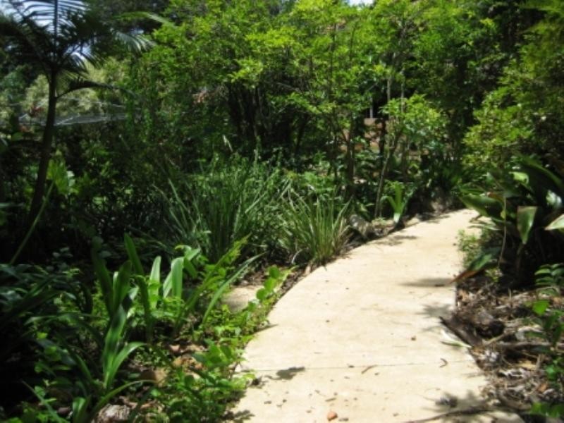 88 Cracknell Road, Annerley QLD 4103