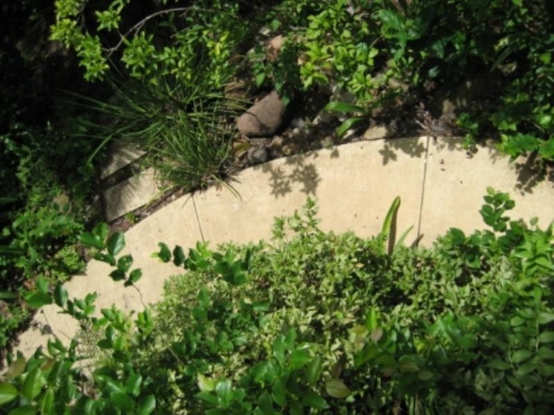 88 Cracknell Road, Annerley QLD 4103