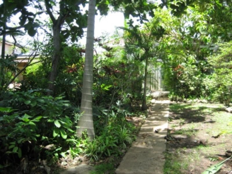 88 Cracknell Road, Annerley QLD 4103