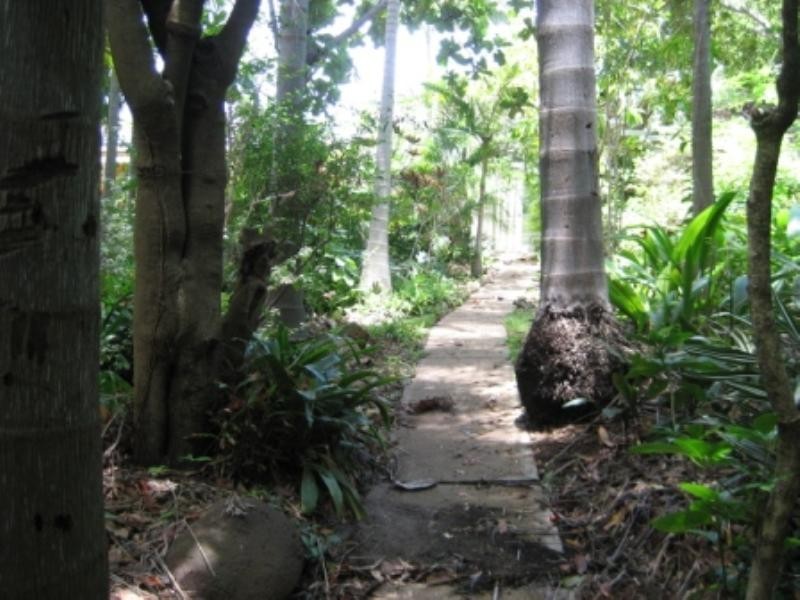 88 Cracknell Road, Annerley QLD 4103