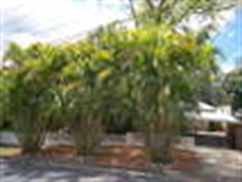 107 Pope Street, Tarragindi QLD 4121