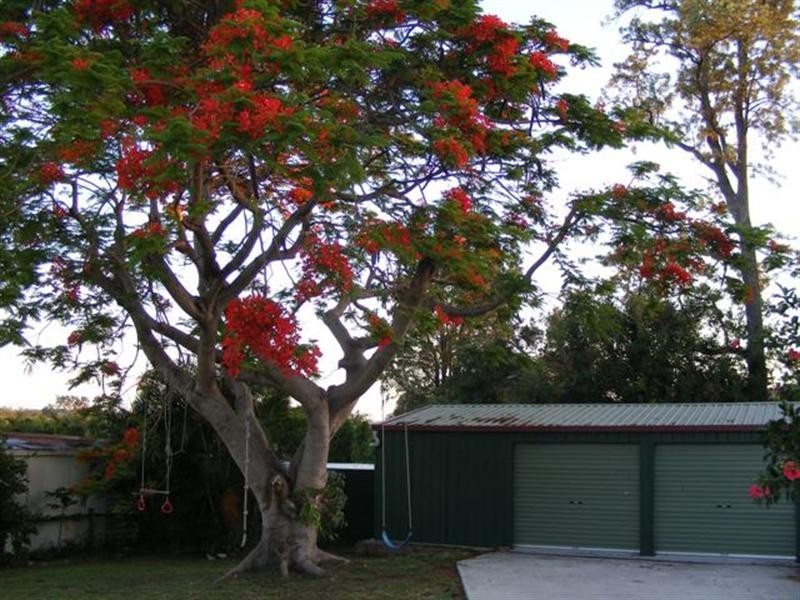 28 Dinmore Street, Moorooka QLD 4105