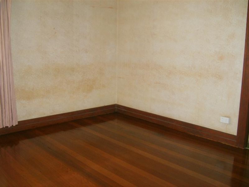 46 Sherley Street, Moorooka QLD 4105