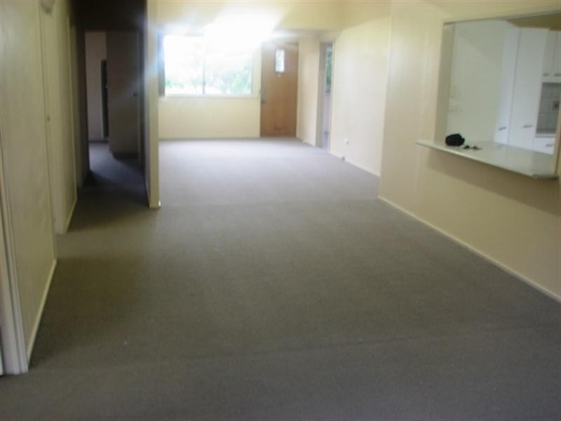 63 Longeuval Street, Annerley QLD 4103