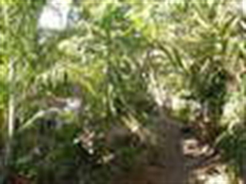 388 Beaudesert Road, Moorooka QLD 4105