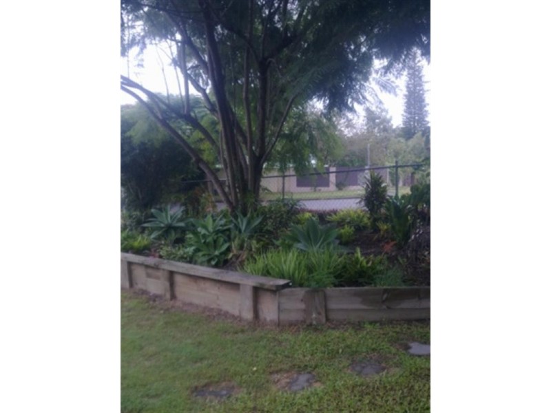 7 Whittle Street, Moorooka QLD 4105