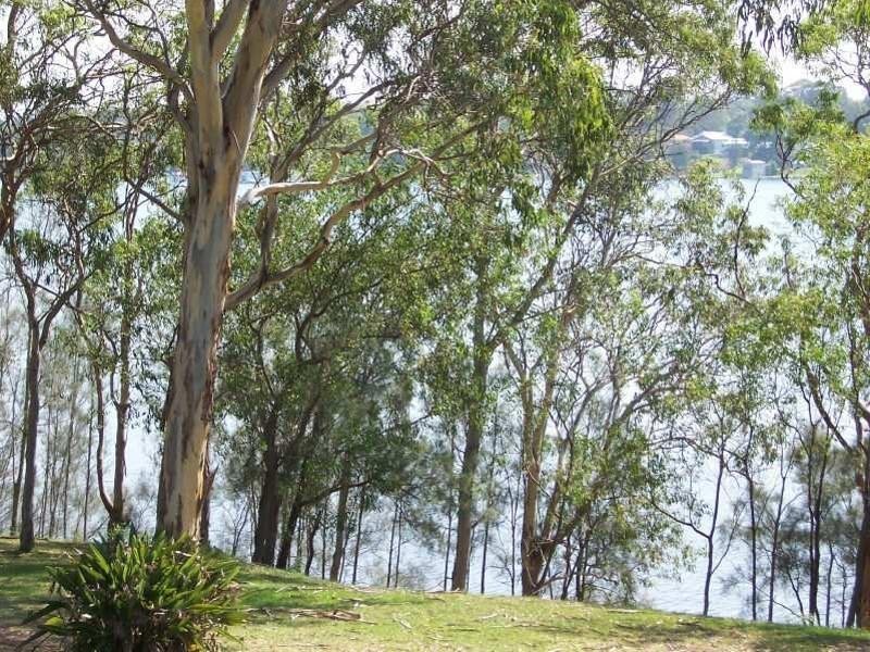 1 Lake View Avenue, Brightwaters NSW 2264