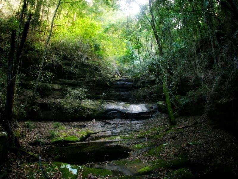 48 Pringles Road, Martinsville NSW 2265