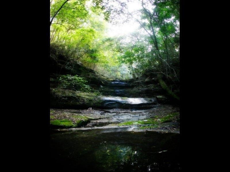 48 Pringles Road, Martinsville NSW 2265