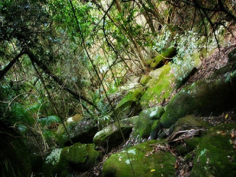 48 Pringles Road, Martinsville NSW 2265