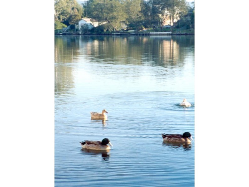 34 Baker Street, Dora Creek NSW 2264