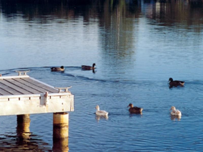 34 Baker Street, Dora Creek NSW 2264