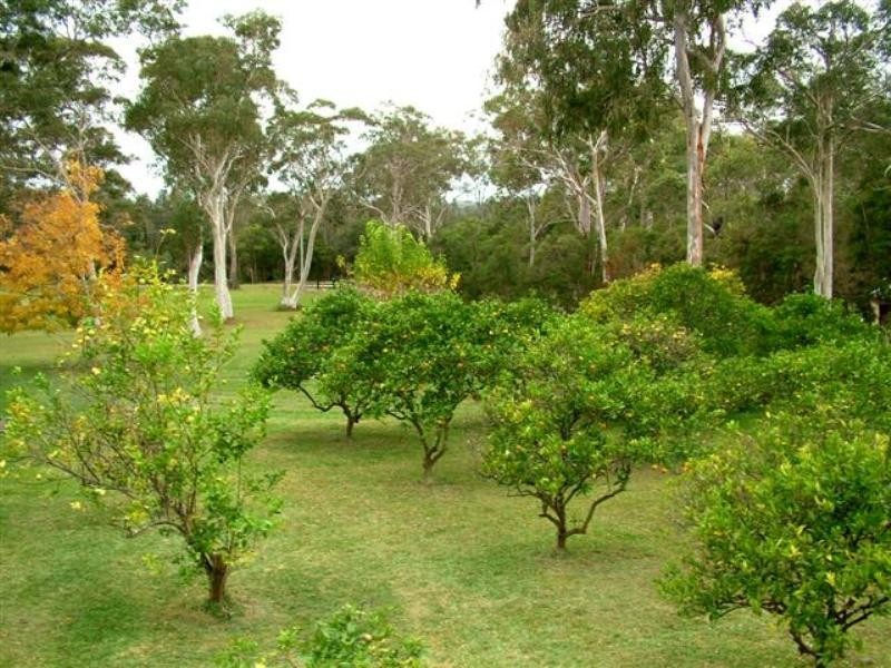 28 Inglewood Street, Morisset NSW 2264