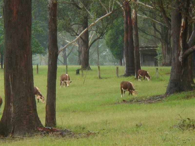 Martinsville NSW 2265