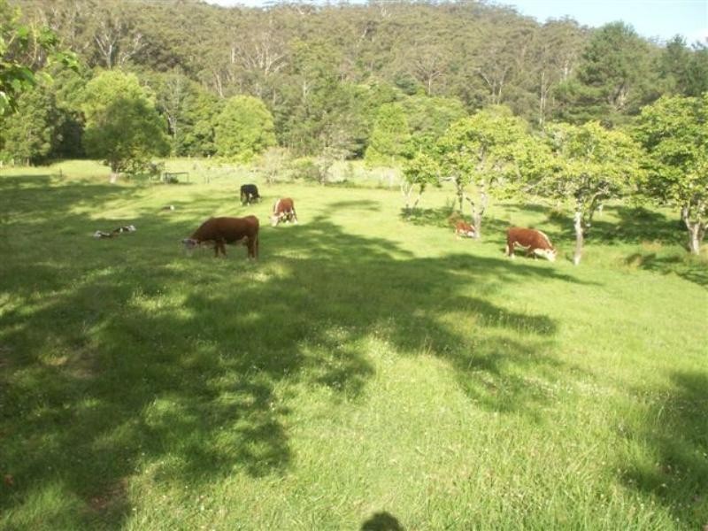 Martinsville NSW 2265