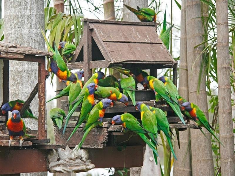 158 Dora Street, Dora Creek NSW 2264