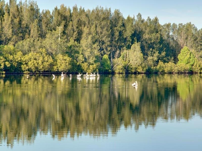 158 Dora Street, Dora Creek NSW 2264