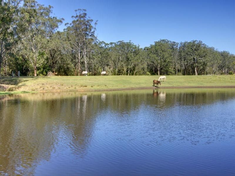 142 Martinsville Road, Martinsville NSW 2265