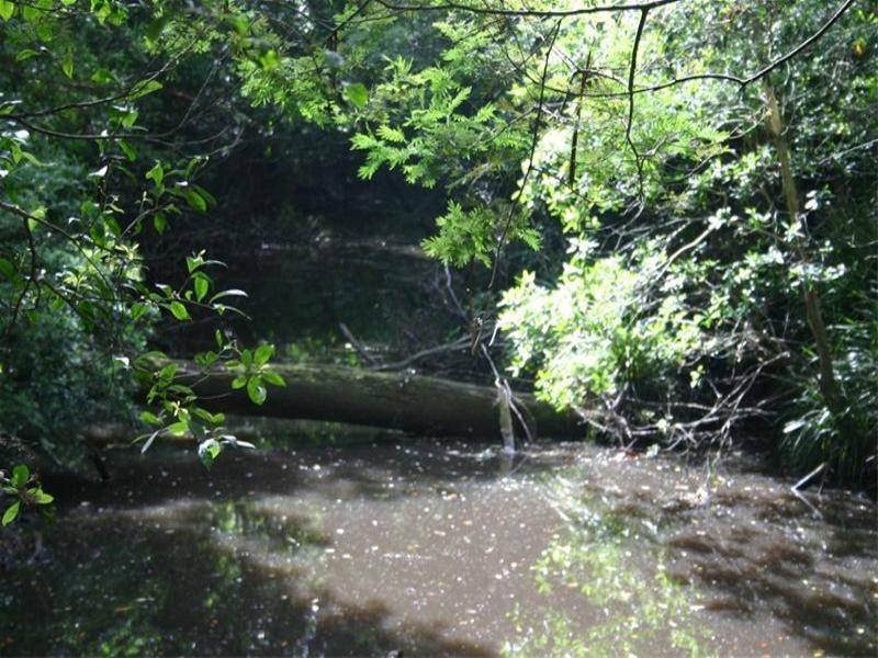 142 Martinsville Road, Martinsville NSW 2265