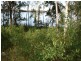 35 Wymeera Circuit, Wyee Point NSW 2259