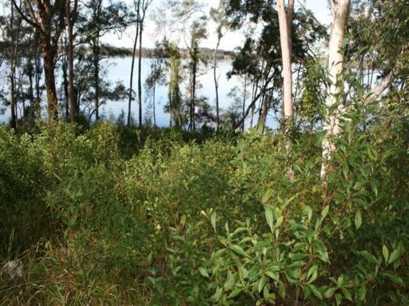 35 Wymeera Circuit, Wyee Point NSW 2259