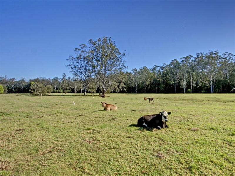 142 Martinsville Road, Martinsville NSW 2265