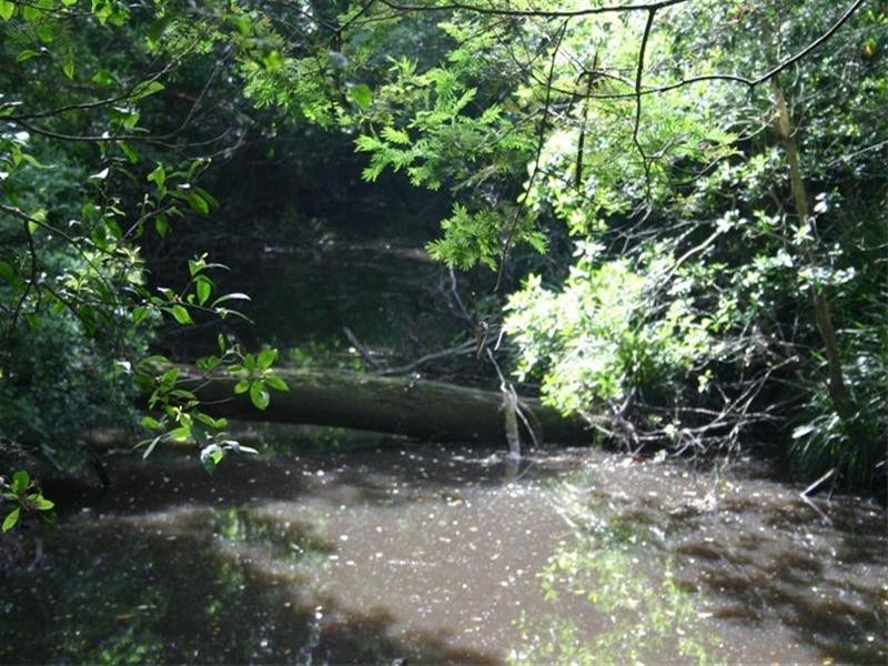 142 Martinsville Road, Martinsville NSW 2265