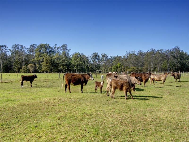 142 Martinsville Road, Martinsville NSW 2265