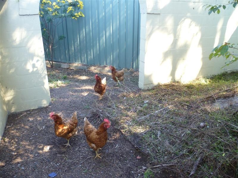 73 Beauty Point Road, Morisset NSW 2264