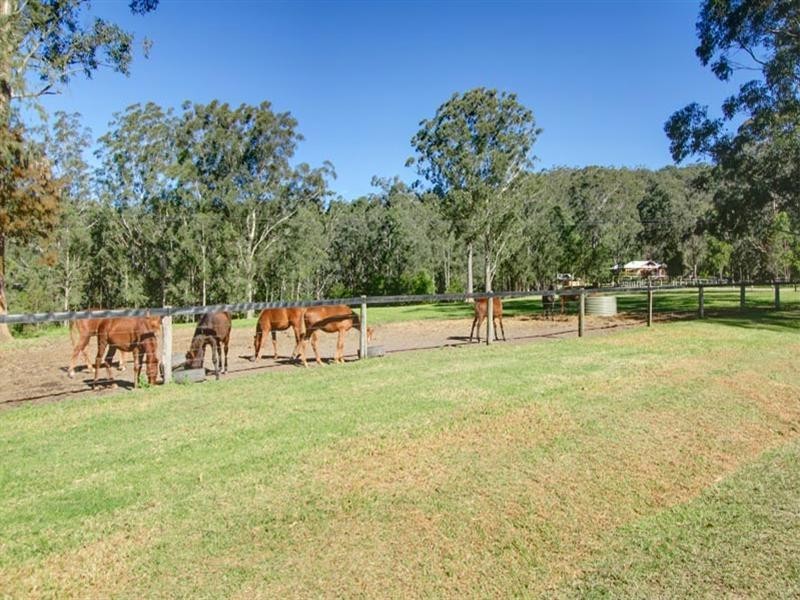 271 Owens Road, Martinsville NSW 2265