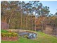1041 Freemans, Cooranbong NSW 2265