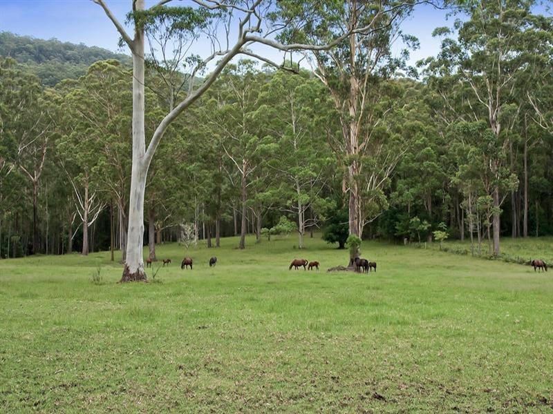 271 Owens Road, Martinsville NSW 2265