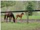 271 Owens Road, Martinsville NSW 2265