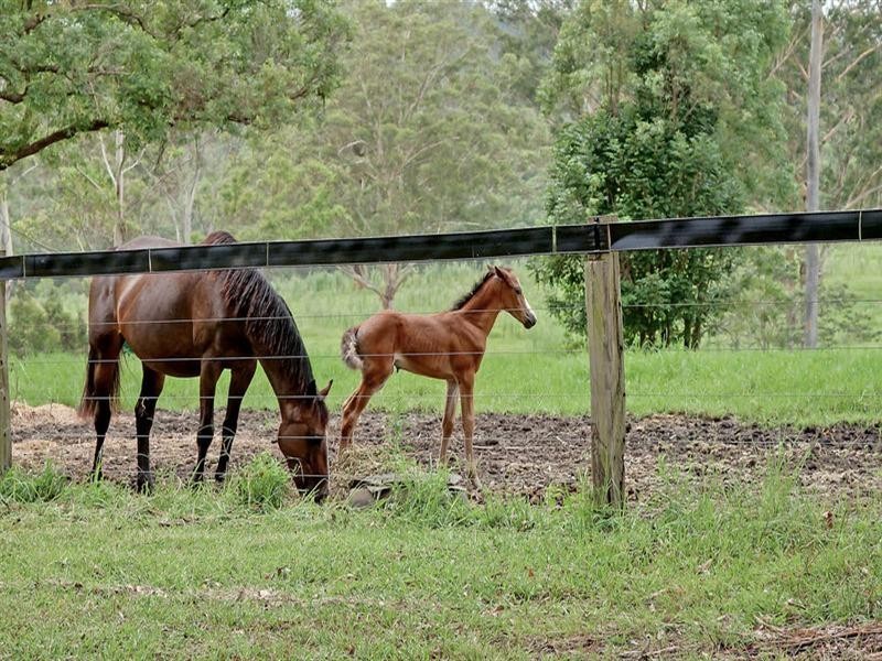 271 Owens Road, Martinsville NSW 2265